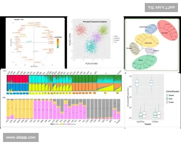 全面解析NBA技术统计指标及其对球员表现的影响与评价标准 全面解析NBA技术统计指标及其对球员表现的影响与评价标准